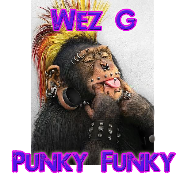 Wez G – Punky Funky (DJ Set&nbsp;61)