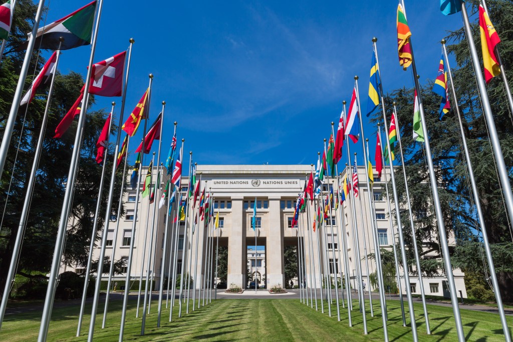Chatham House: A new multilateralism. How are the UN and other global organizations adapting to a new&nbsp;world?