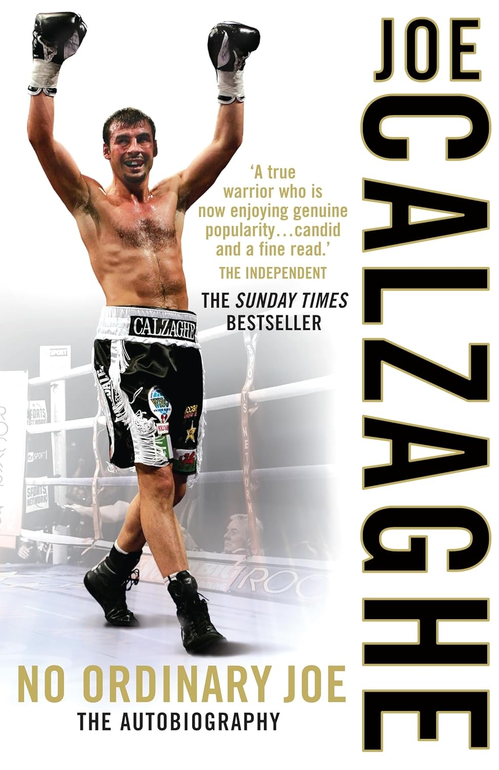 Review: No Ordinary Joe by Joe Calzaghe